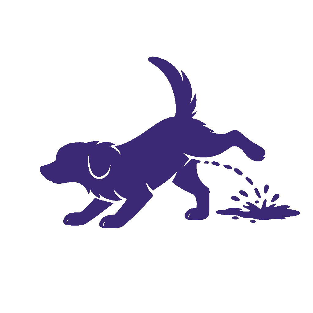 <h4><strong>Indoor Marking</strong></h4>