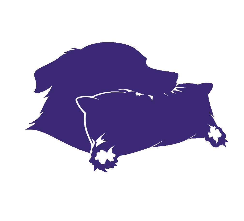 <h4><strong>Destructive Chewing</strong></h4>